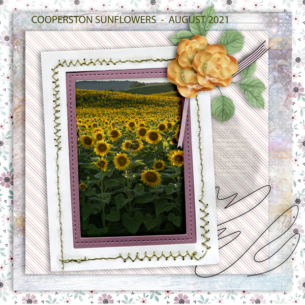 SUNFLOWERE - UIA -MAY 2023
