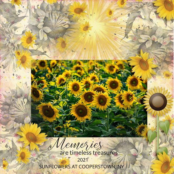 SUNFLOWERS - ALEXIS -SEPT 23