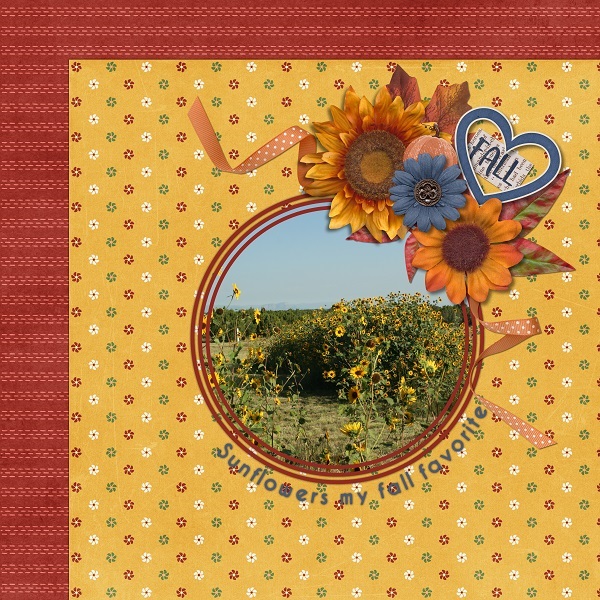 Sunflowers are my favorite