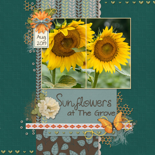 Sunflowers at the Grove