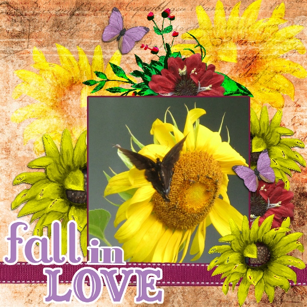Sunflowers + Butterflies