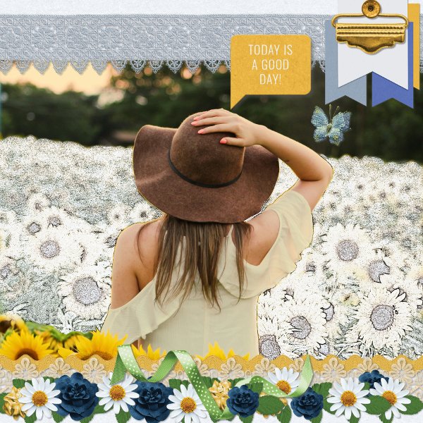 sunflowers.jpg