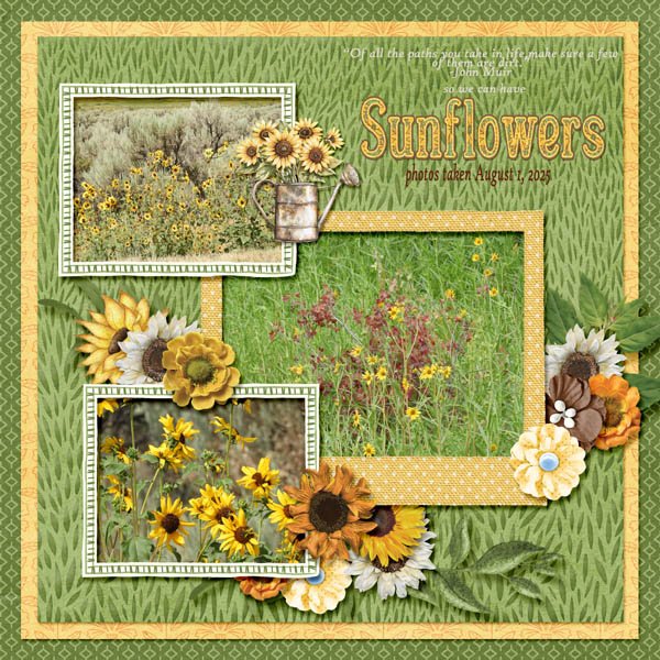 SUNFLOWERS small.jpg