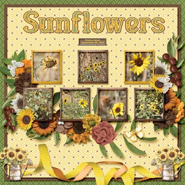 Sunflowers small.jpg