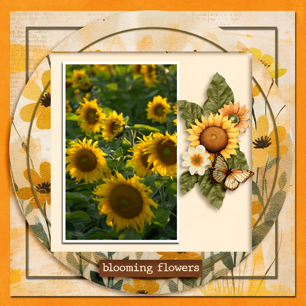 SUNFLOWERS-TEMP SCR -4-24