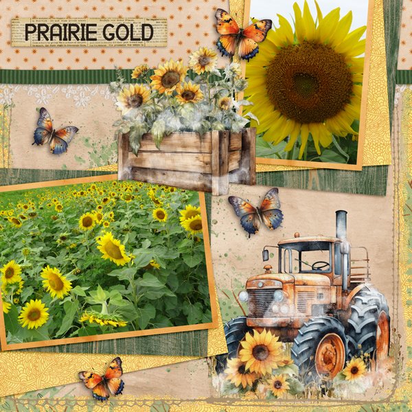 Sunflowers with Temp #3-Aimee.jpg