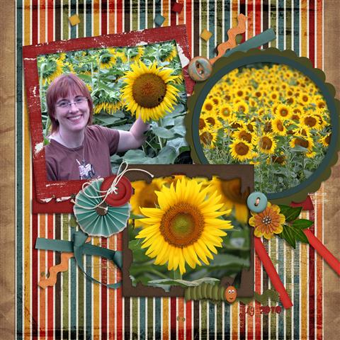 Sunflowers