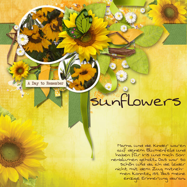 sunflowers
