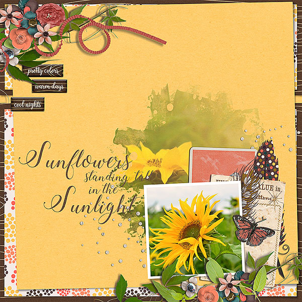 sunflowers