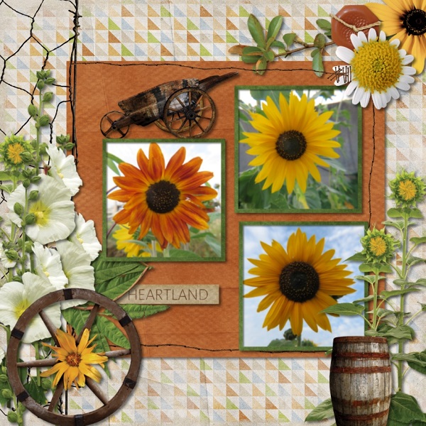 Sunflowers