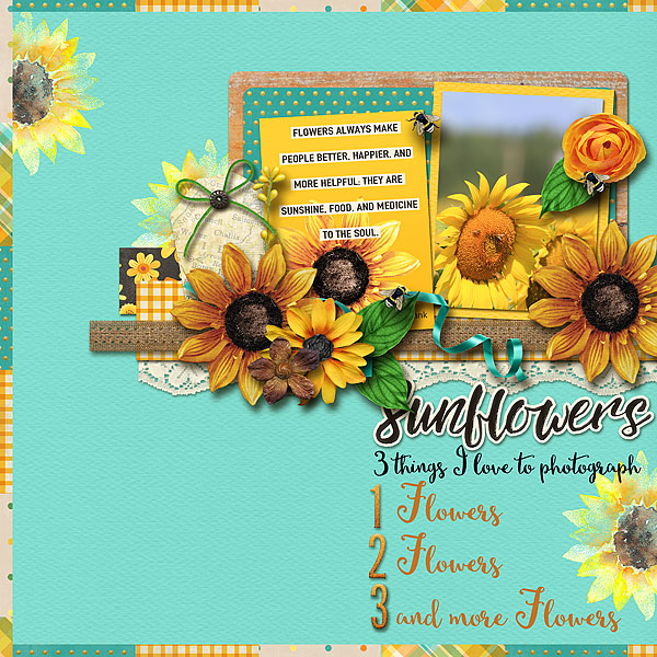 Sunflowers