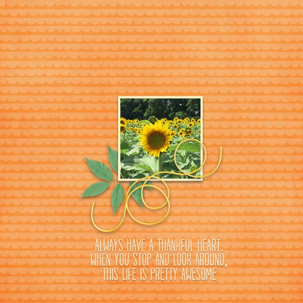 Sunflowers