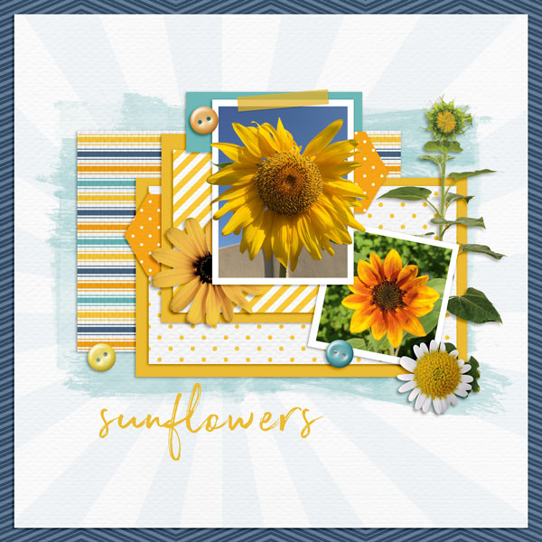 Sunflowers