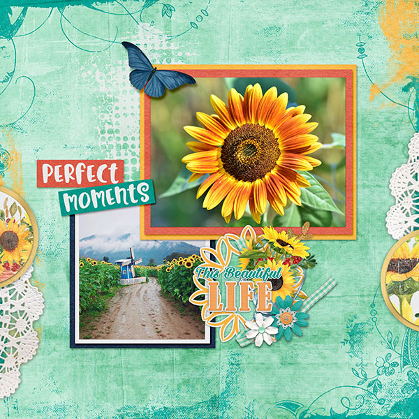 Sunflowers