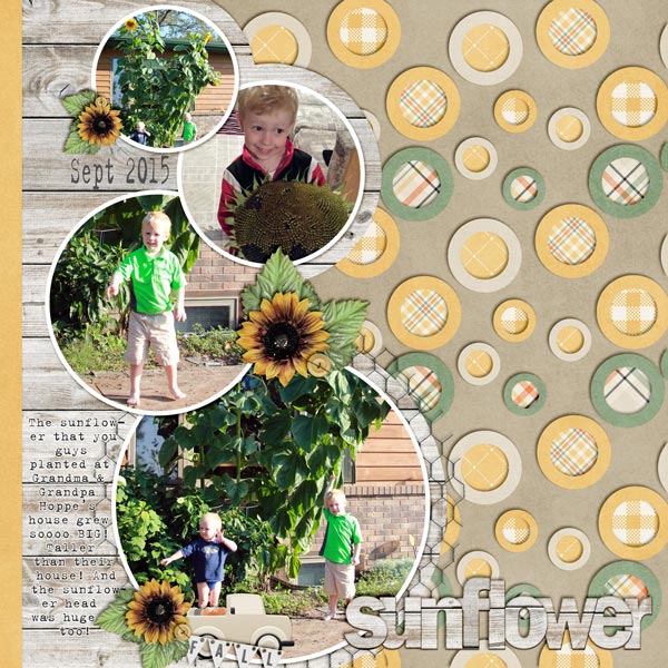 Sunflowers