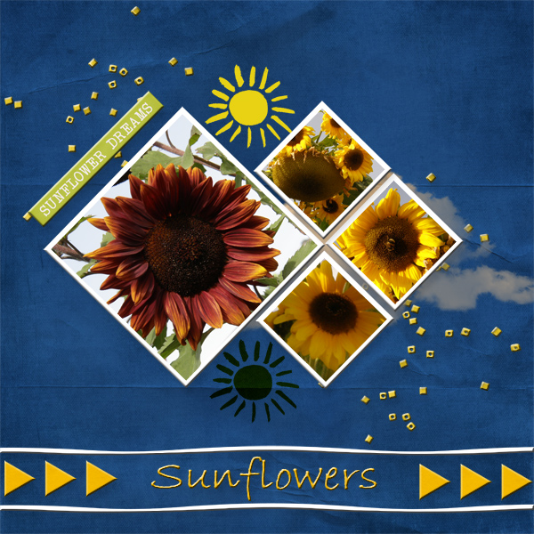 Sunflowers