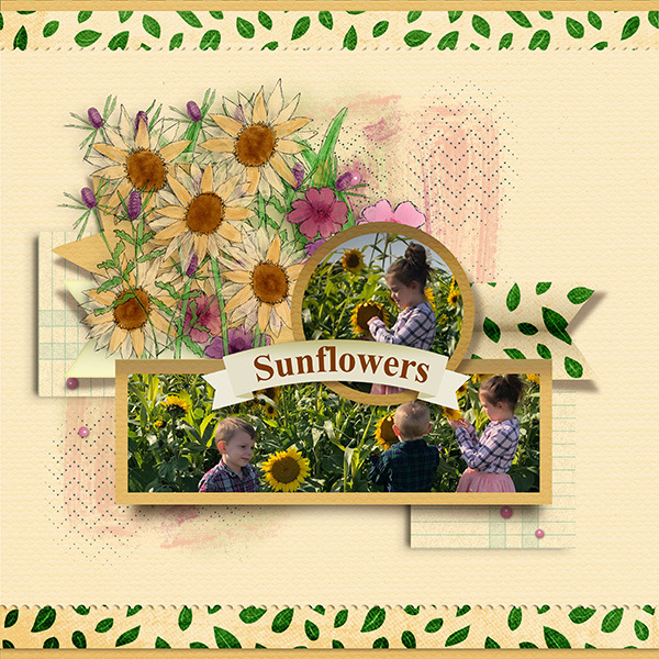 Sunflowers
