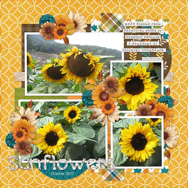 Sunflowers