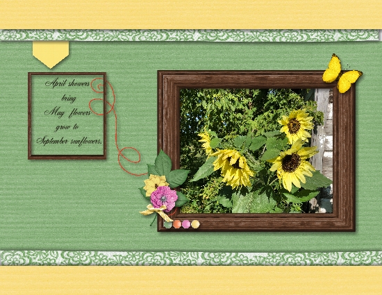 Sunflowers