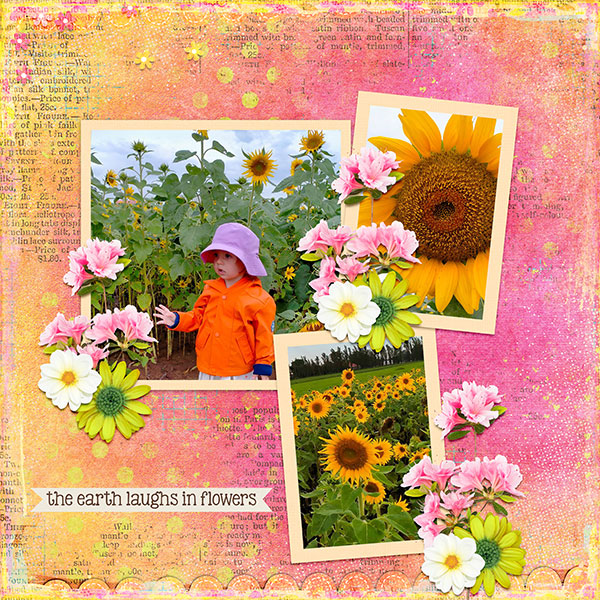 Sunflowers