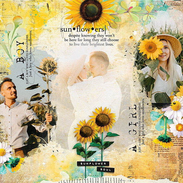 Sunflowers