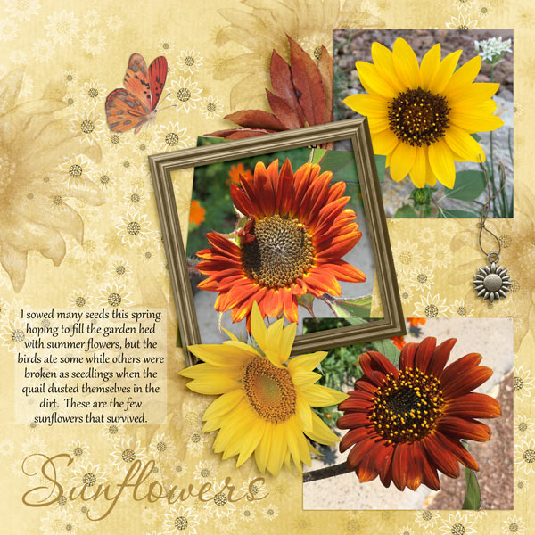 Sunflowers
