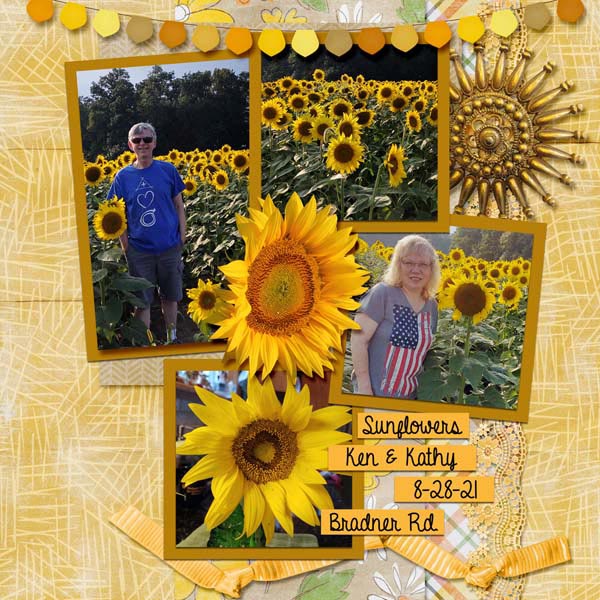 Sunflowers