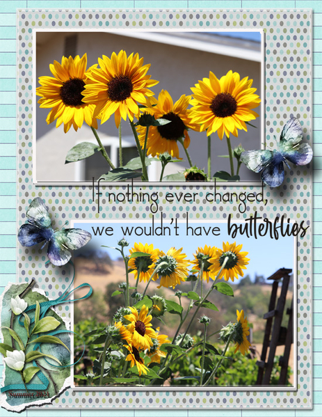 Sunflowers