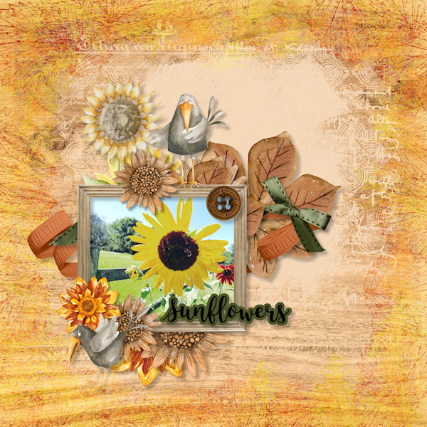 Sunflowers
