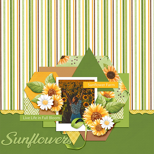 Sunflowers