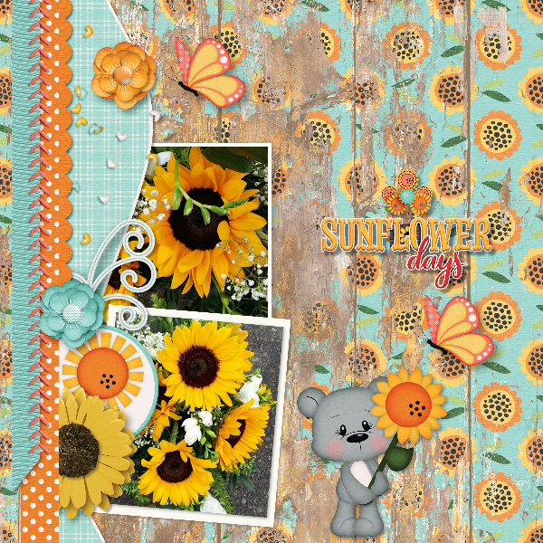 Sunflowers