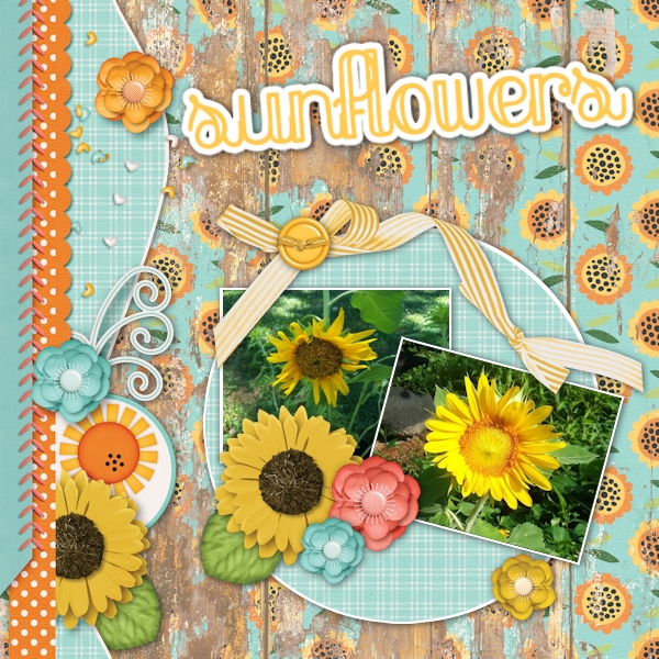Sunflowers