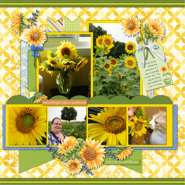Sunflowers