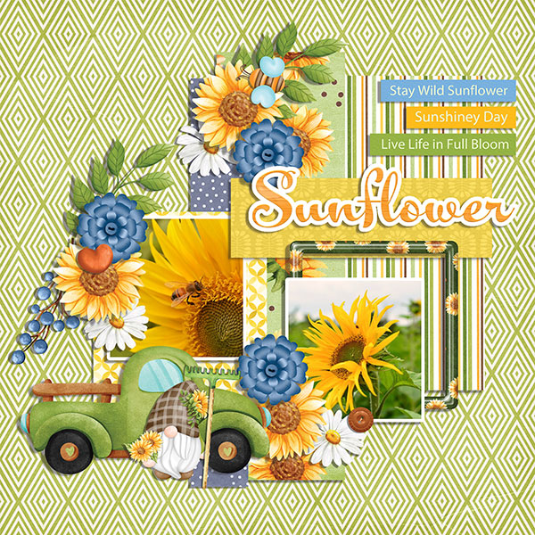 sunflowers