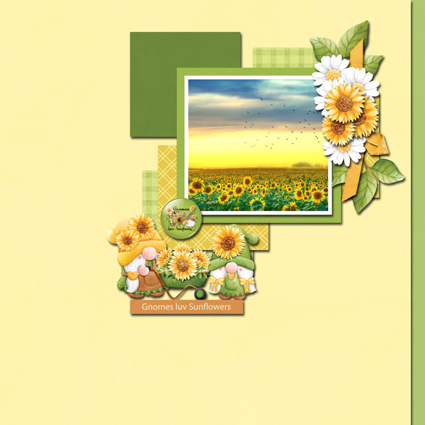 Sunflowers