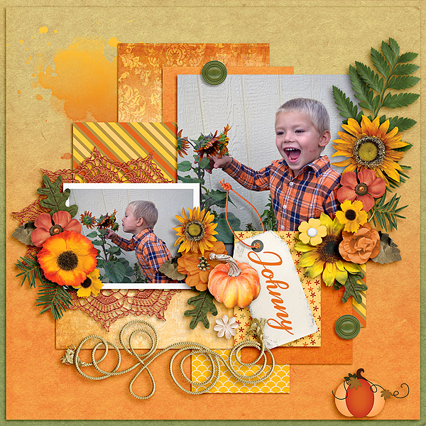 Sunflowers