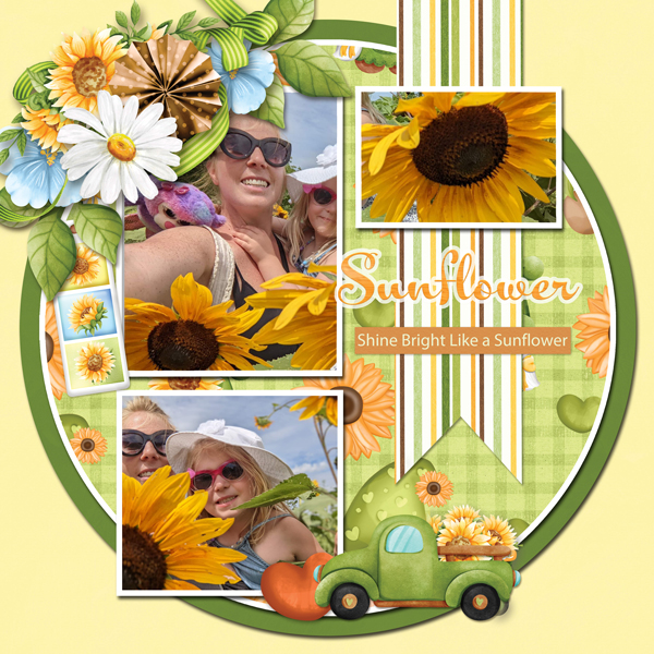sunflowers