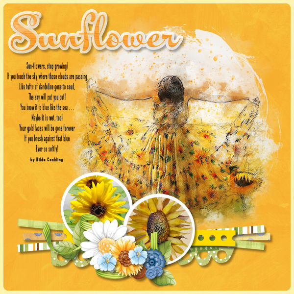 Sunflowers
