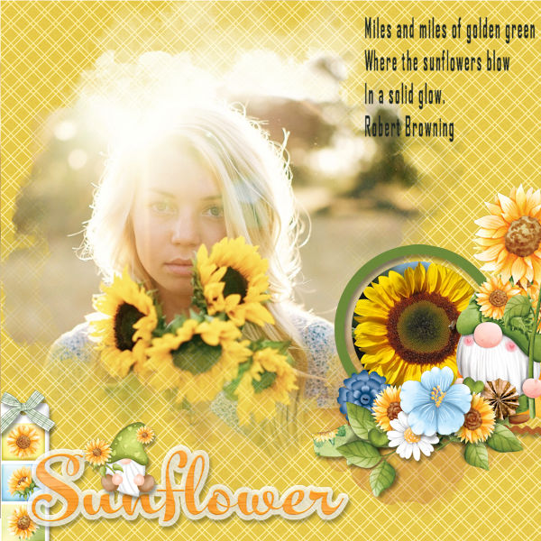 Sunflowers