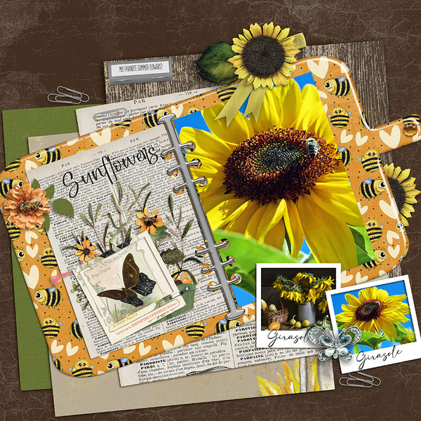 Sunflowers