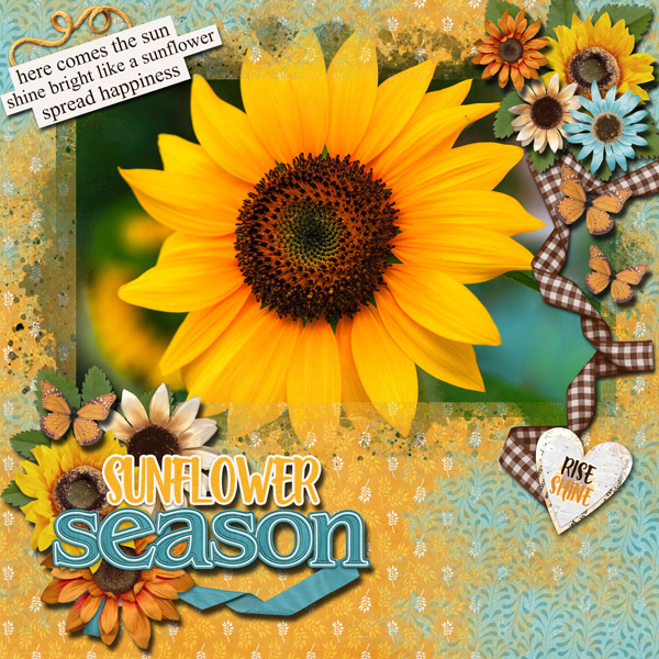 Sunflowers
