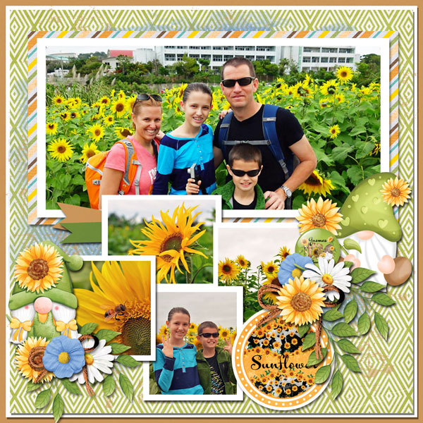 sunflowers