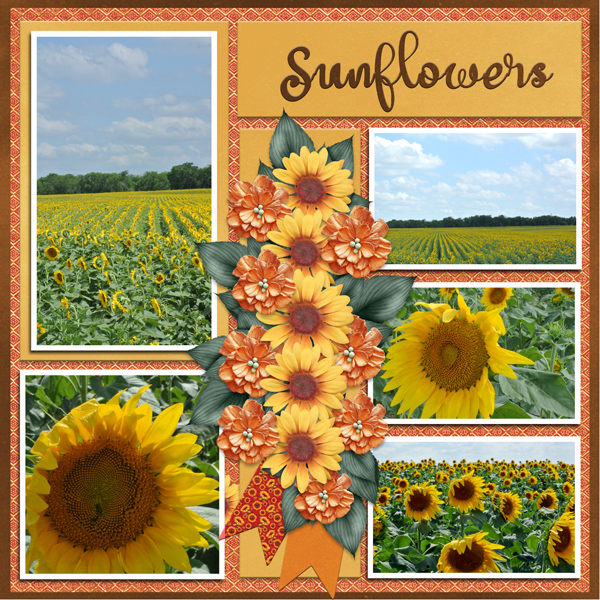 Sunflowers