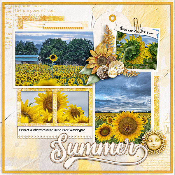 Sunflowers