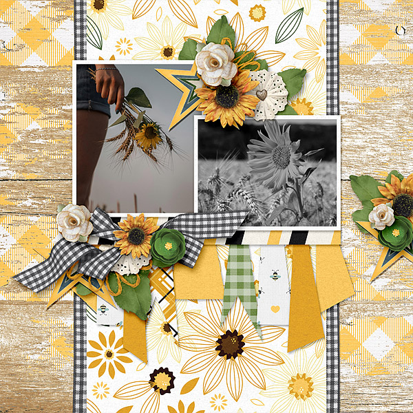 Sunflowers