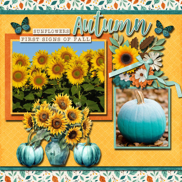 Sunflowers