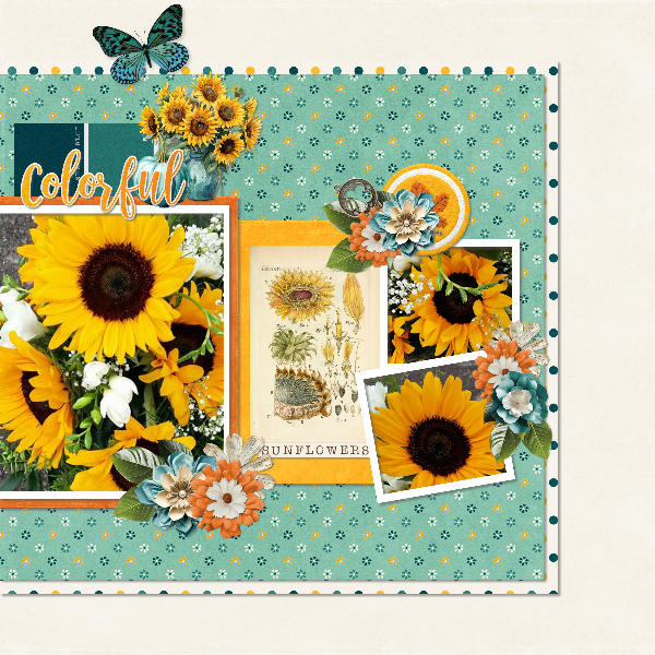 Sunflowers