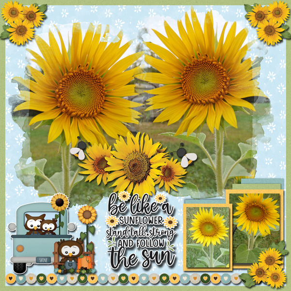 Sunflowers