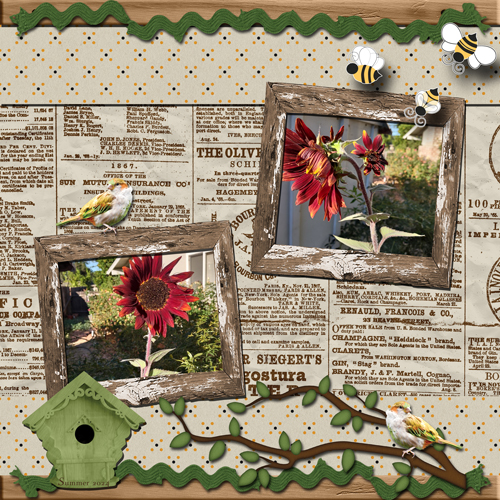 Sunflowers