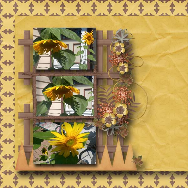 Sunflowers